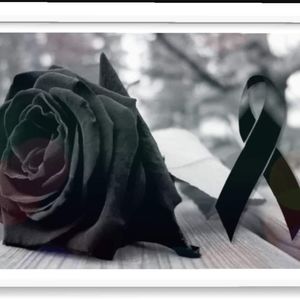 Meet your Posher, Nayeli